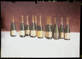 Wijnlandschap, Champagne, 2003